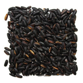 ARROZ NERO,NEGRO,NEVERI
