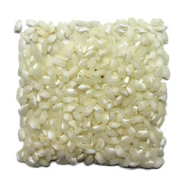ARROZ REDONDO DELTA EBRO