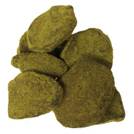 JENGIBRE TE MATCHA MIEL