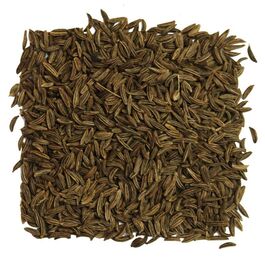 ALCARAVEA