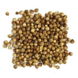 CILANTRO SEMILLA