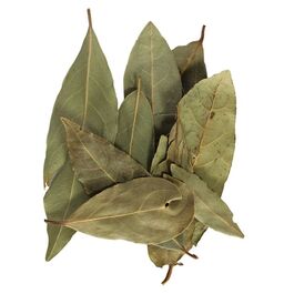 LAUREL HOJA