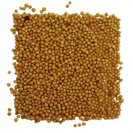 MOSTAZA EN GRANO