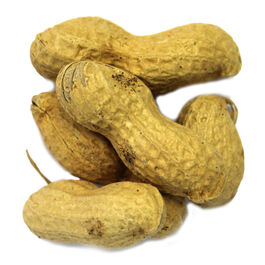 CACAHUETE GRANDE TOSTADO