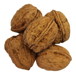 NUEZ CASCARA