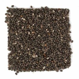 CHIA ECOLOGICA