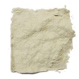 GLUTEN TRIGO