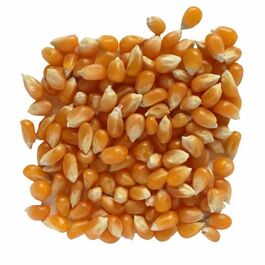 MAIZ PALOMITAS ECOLOGICO