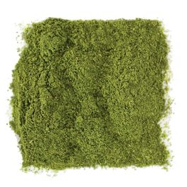 MORINGA ECOLOGICA