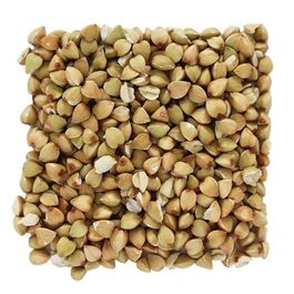 TRIGO SARRACENO GRANO ECO