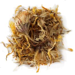 ARNICA