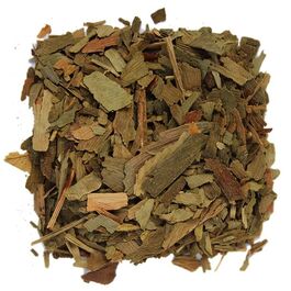 GINKGO BILOBA