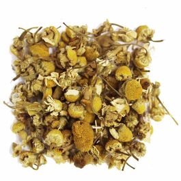 MANZANILLA CAPOTA