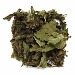 MENTA