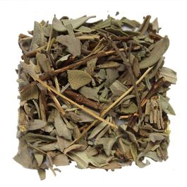 SALVIA
