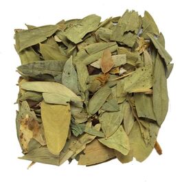 SEN HOJA