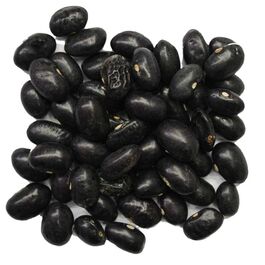 ALUBIA TOLOSANA NEGRA