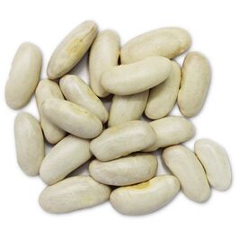 FABA LABREGA