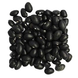 FRIJOL NEGRO