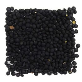 LENTEJA CAVIAR