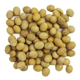 SOJA BLANCA