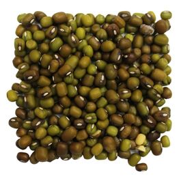 SOJA VERDE