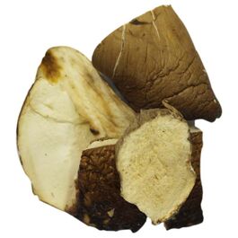 BOLETUS EDULIS 1A CAT