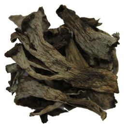 TROMPETA DE LA MUERTE