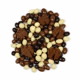 FRUTOS SECOS CHOCOLATEADOS